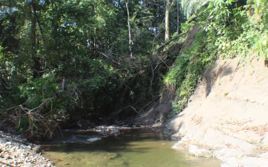 Golfito>Pavones Real Estate Listings 20516