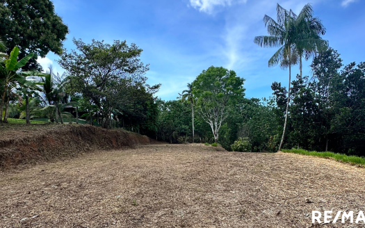 Golfito>Pavones Real Estate Listings 25523