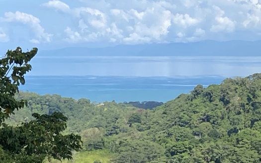 Golfito>Pavones Real Estate Listings 26113