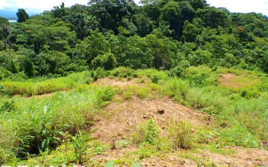 Cocal Amarillo Vista Paradise