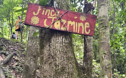 Golfito>Pavones Real Estate Listings 26376