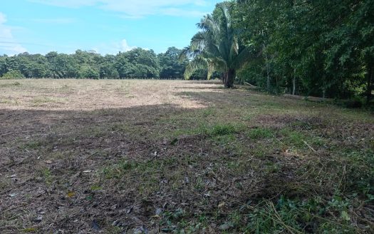 Perfect land for the development of a resort of your dreams