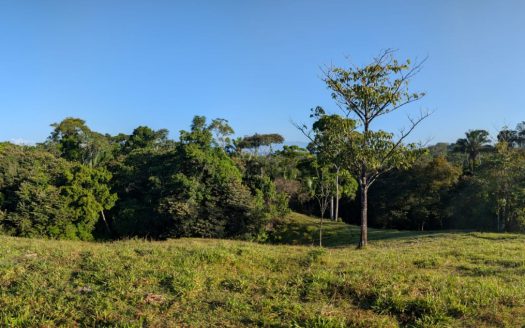 Large Oceanview Ranch for Sale in Pavones, Costa Rica – 5 minutes to Pilon Surf