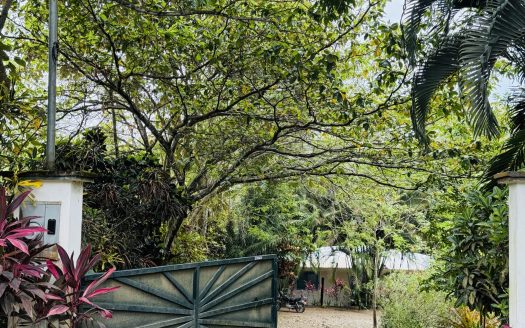 Golfito>Pavones Real Estate Listings 28205