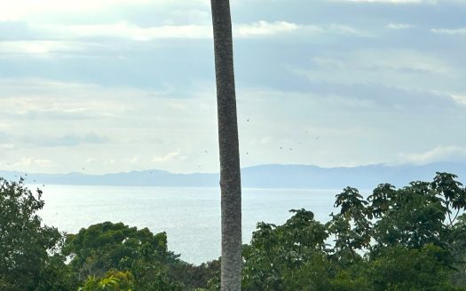 Golfito>Pavones Real Estate Listings 28646