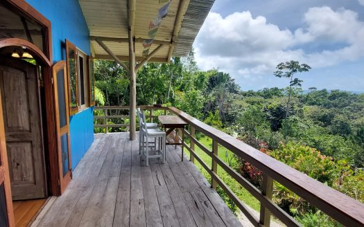 Unique Ocean-View Eco Home for Sale in Southern Costa Rica – Jungle Paradise with Income Potential🌴
