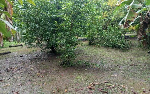 Golfito>Pavones Real Estate Listings 30333