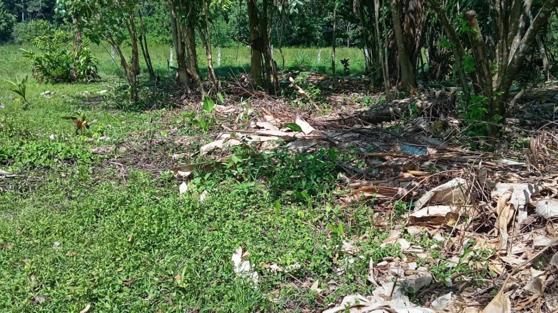 Golfito>Pilón Real Estate Listings 27064