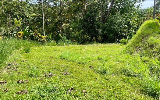 Golfito>Pilón Real Estate Listings 28469