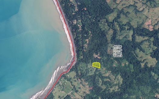 Golfito>Pilón Real Estate Listings 28595