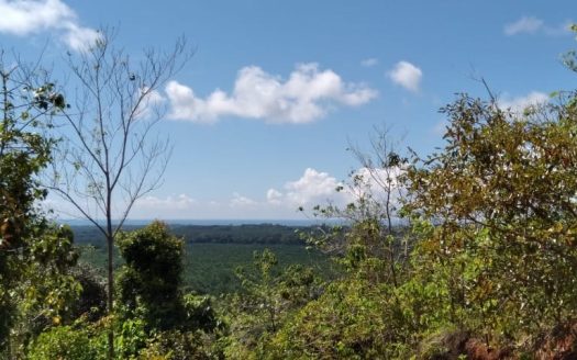 PERFECT OPPORTUNITY FOR AN ECOLOGICAL PROJECT; FARM, THE SILENCE, QUEPOS FOR SALE!!!