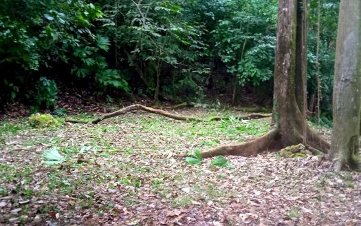 Beautiful Property in the heart of Manuel Antonio – 8990 mts2!!!!!!!