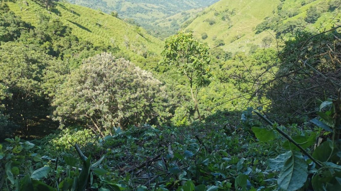 Costa Rica Real Estate