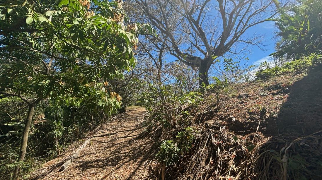 Costa Rica Real Estate