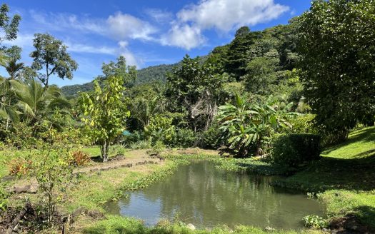 Stunning 16049 sqft Eco-Friendly Lot with Hot Springs, Waterfall Access, and Modern Amenities in Secure Community near Quepos