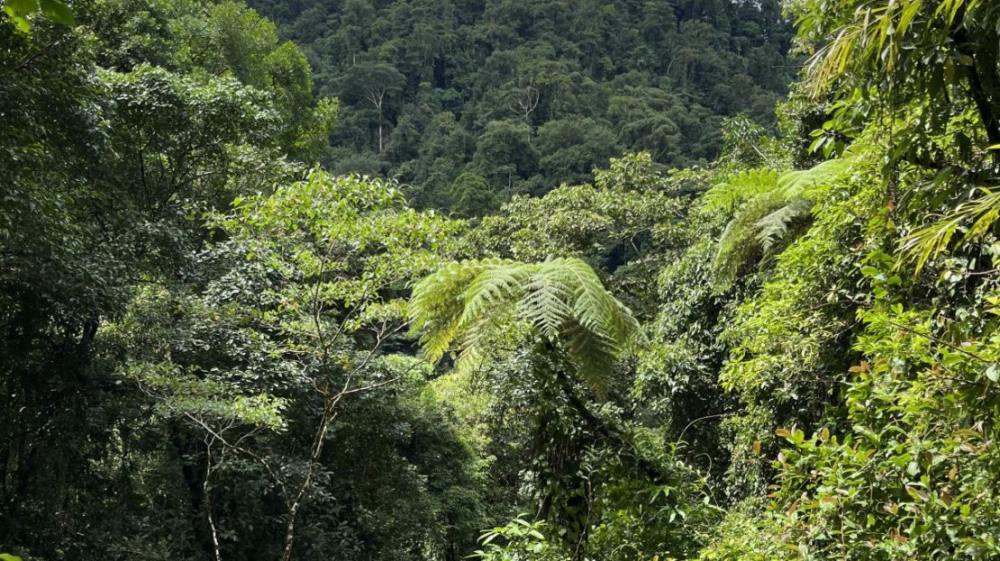 and Modern Amenities in Secure Community near Quepos