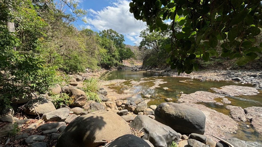 Lots and farm ideal for development -