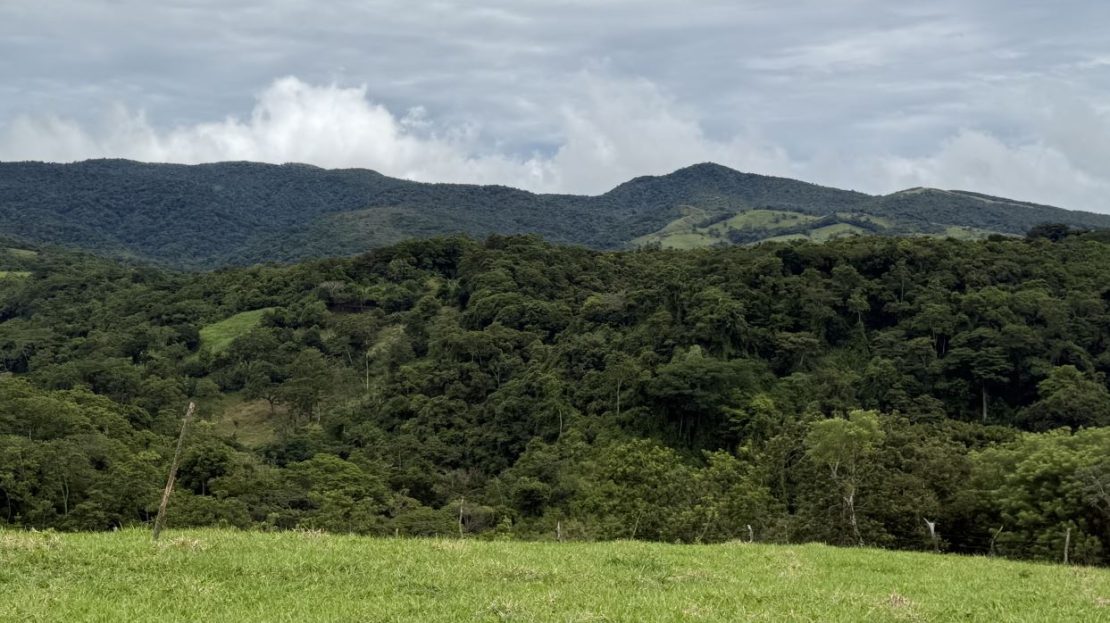 Lake Arenal Costa Rica for Sale