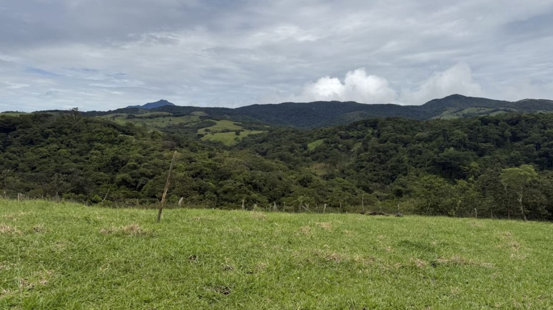 Costa Rica Real Estate