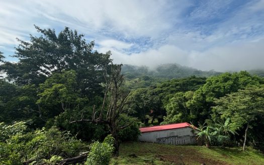 Property ideal for home, commercial on main highway