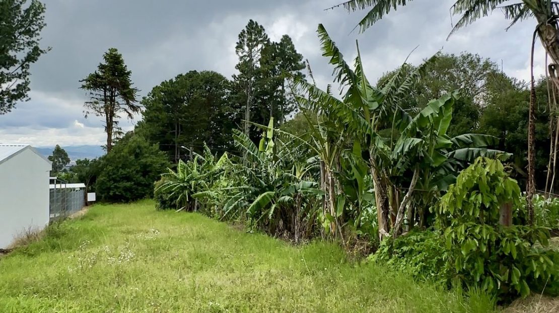 Costa Rica Real Estate