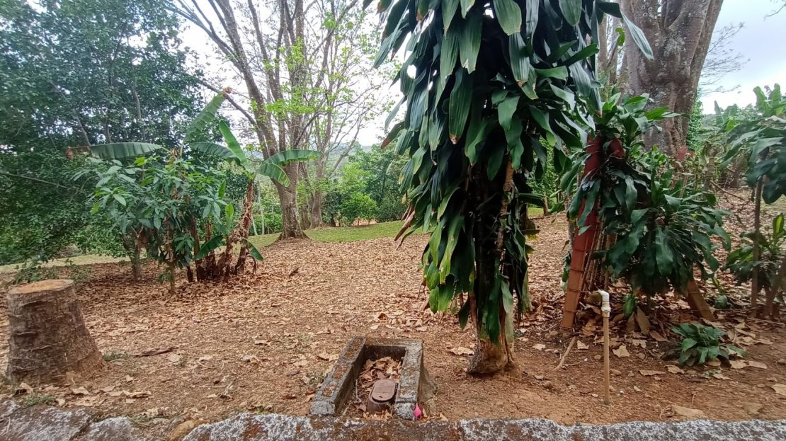 Flat area ready to build