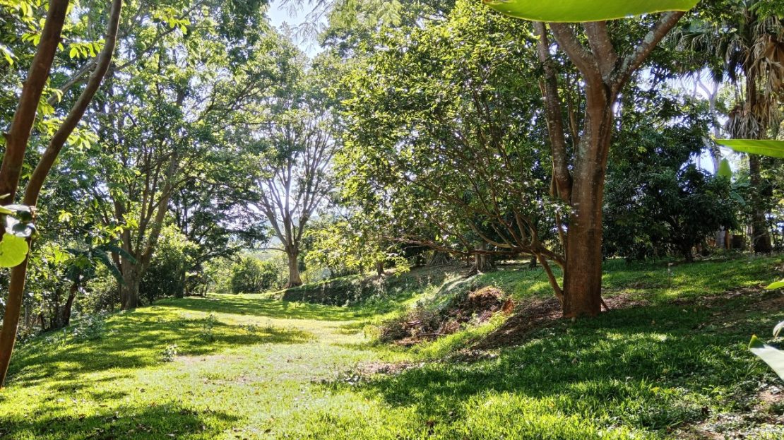 Costa Rica Real Estate