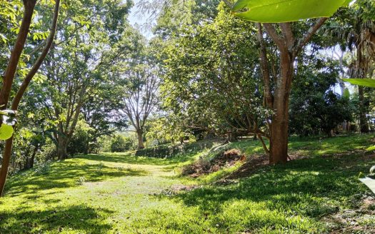 Flat area ready to build