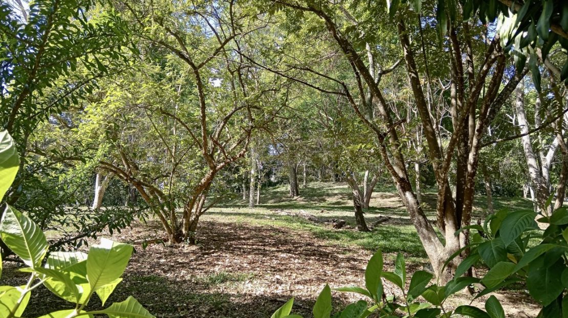 Beautiful views and quiet gated community