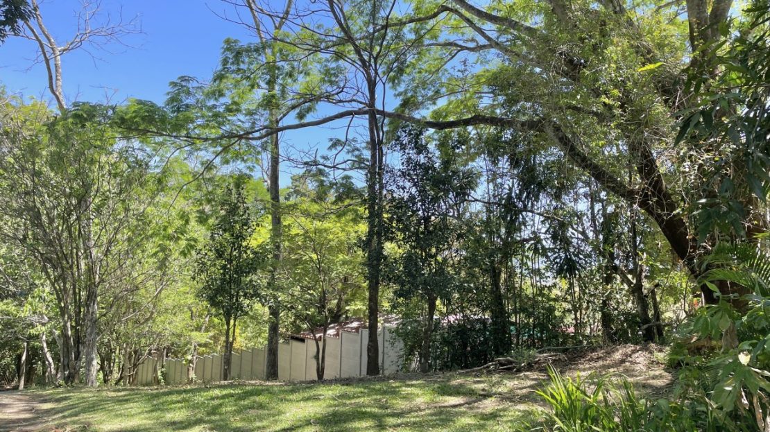 FOR SALE - house surrounded by nature en Rodeo