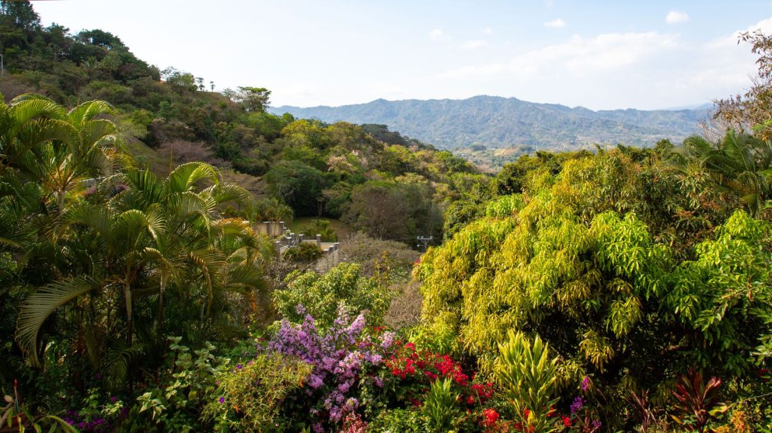 Perfect bed and breakfast