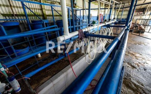 Farm for sale in Tilarán