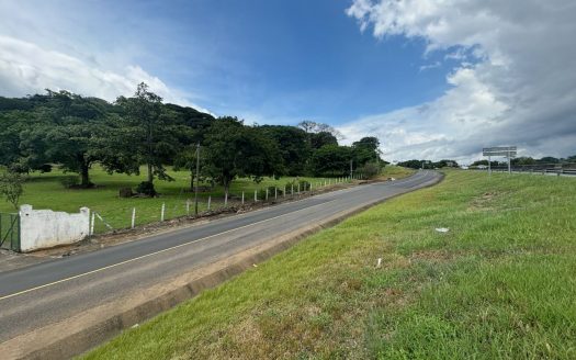 92,370m2 with a caretaker home ideal for development or private property