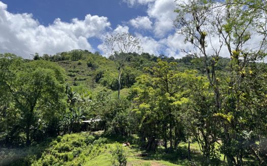 95-Acre Hillside Farmland in Platanillo/Saverge (38 Hectares)