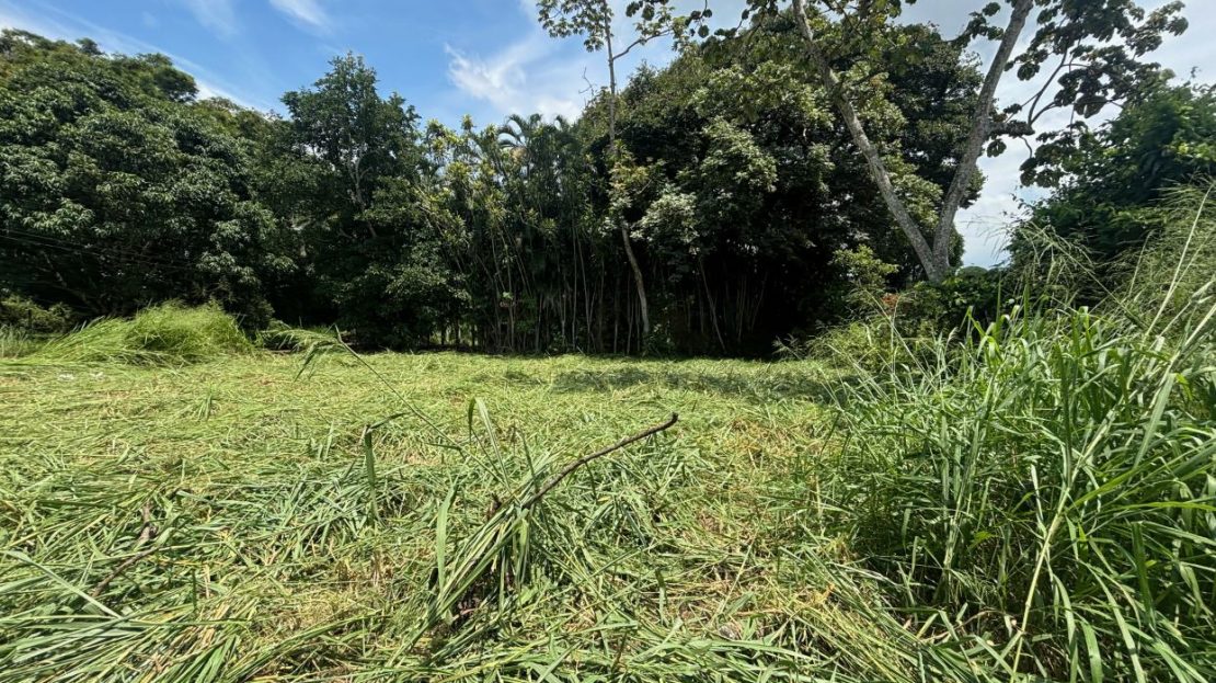 2 lots for sale in the same private community with common gate 3 minutes from Atenas Center