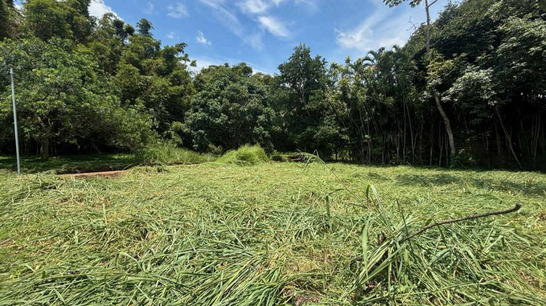 Costa Rica Real Estate