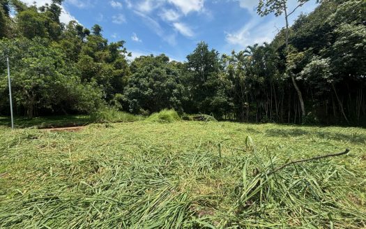 2 lots for sale in the same private community with common gate 3 minutes from Atenas Center