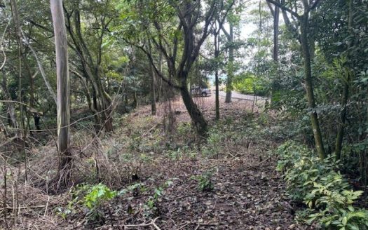 One of the last lots located in a private community adjacent nature in Atenas