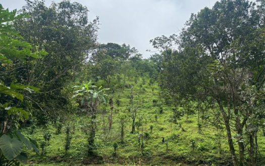 Small almost 4 acre farm with half built home in cooler area of Atenas