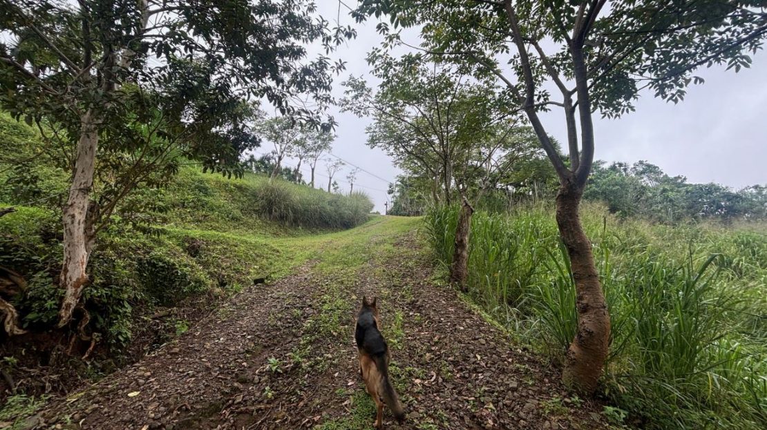 Small almost 4 acre farm with half built home in cooler area of Atenas