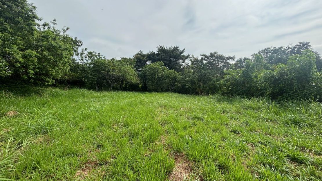 Costa Rica Real Estate