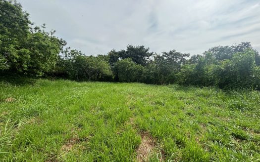 All usable almost 1 acre lot in exclusive Atenas area