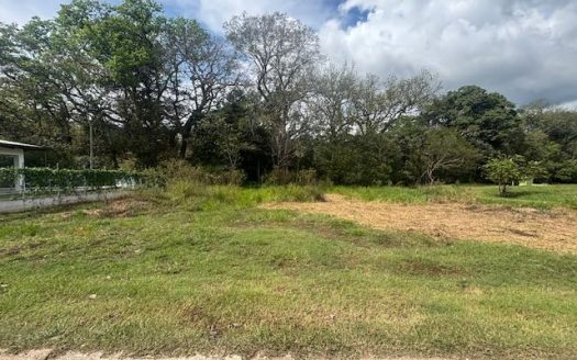 One of the last 2 lots in Roca Verde community in Atenas
