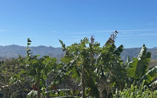 One of the last lots in this part of a private community in Atenas