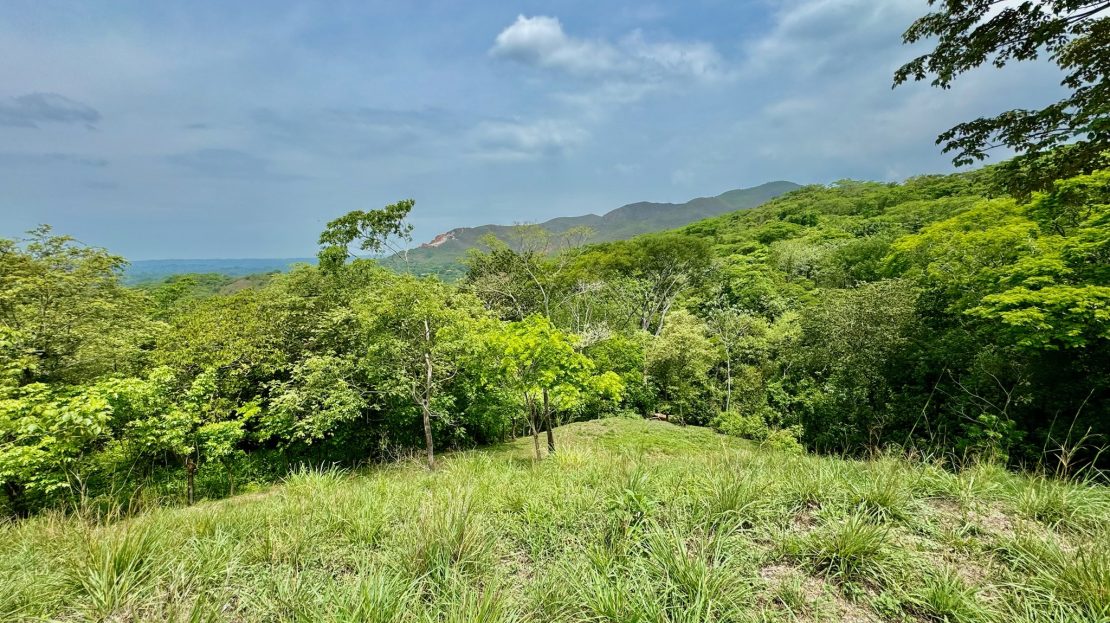 Costa Rica Real Estate