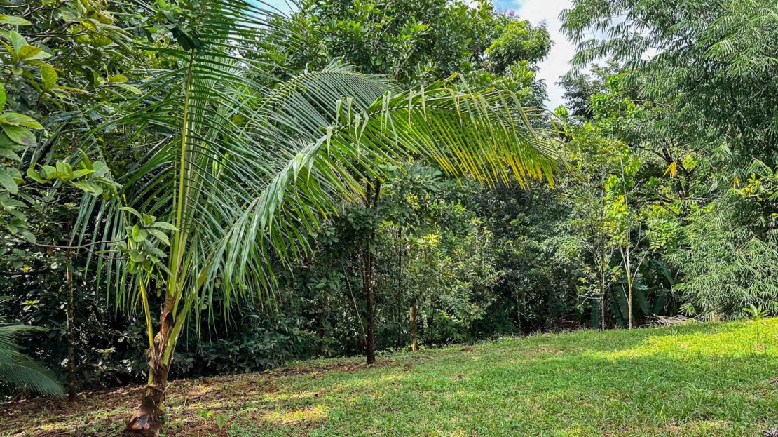 Costa Rica Real Estate