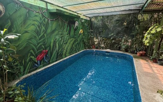 Home in a sanctuary setting with pool and stream