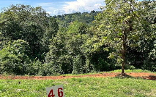 Lot L-46 Gated Community / Londres Manuel Antonio