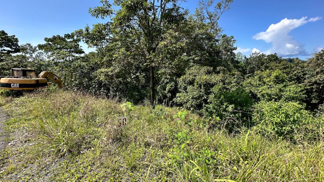 L-50 Lot Gated Community/ Londres Manuel Antonio