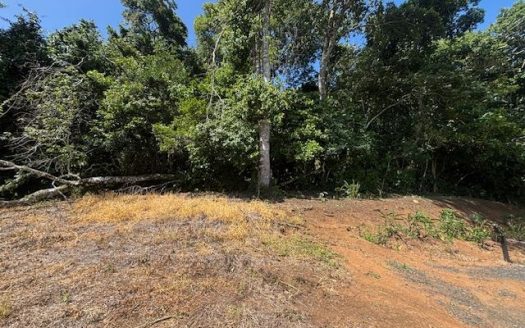 Usable lot in the Atenas countryside with views in Barrio Jesus